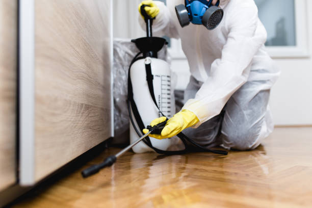 Best Best Pest Control Companies  in Lake Village, AR