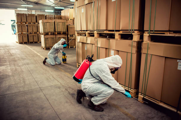 Flea Control Services in Lake Village, AR
