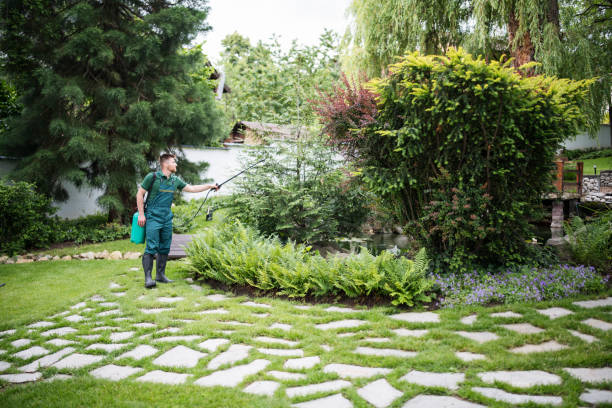 Best Residential Pest Control  in Lake Village, AR
