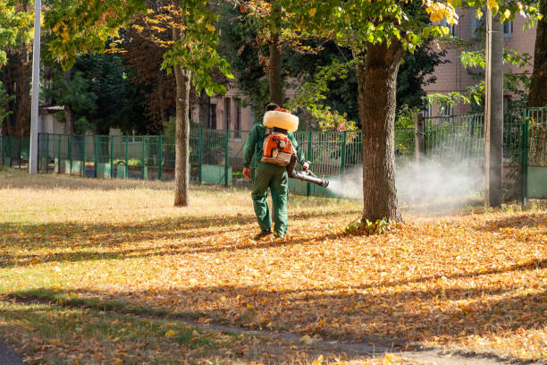 Best Ant Control Services  in Lake Village, AR