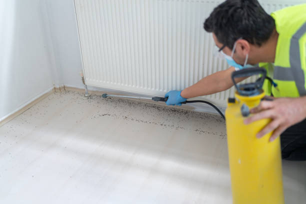 Best Residential Pest Control  in Lake Village, AR